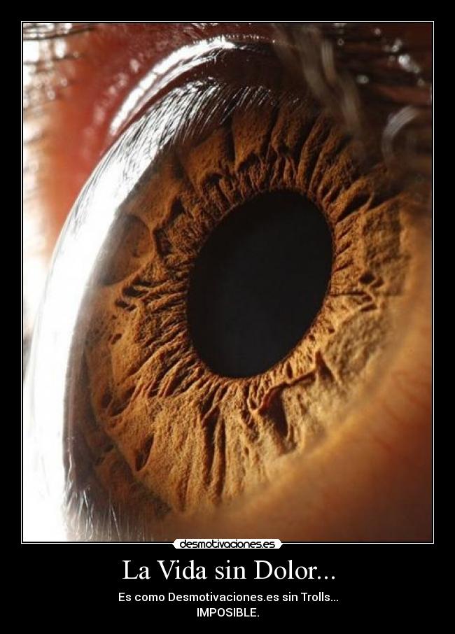 La Vida sin Dolor... - Es como Desmotivaciones.es sin Trolls...
IMPOSIBLE.