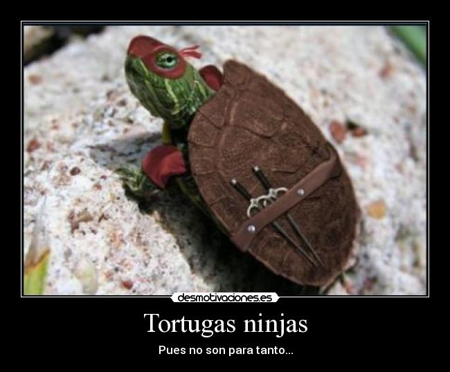 Tortugas ninjas -