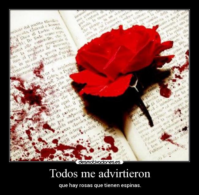 Todos me advirtieron -