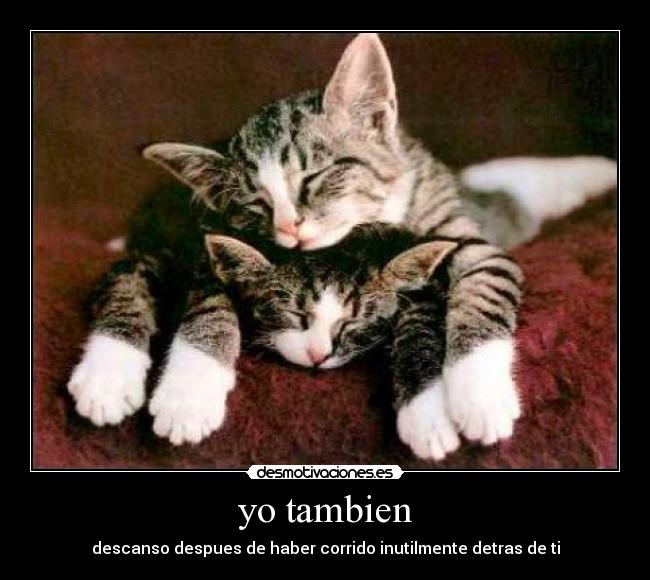 carteles tambien desmotivaciones