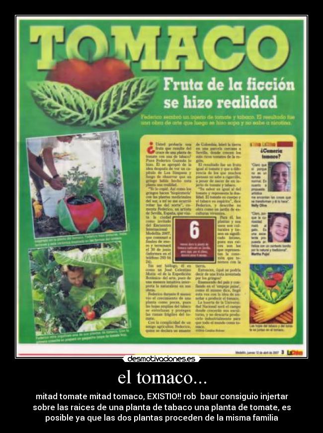 carteles tomaco desmotivaciones