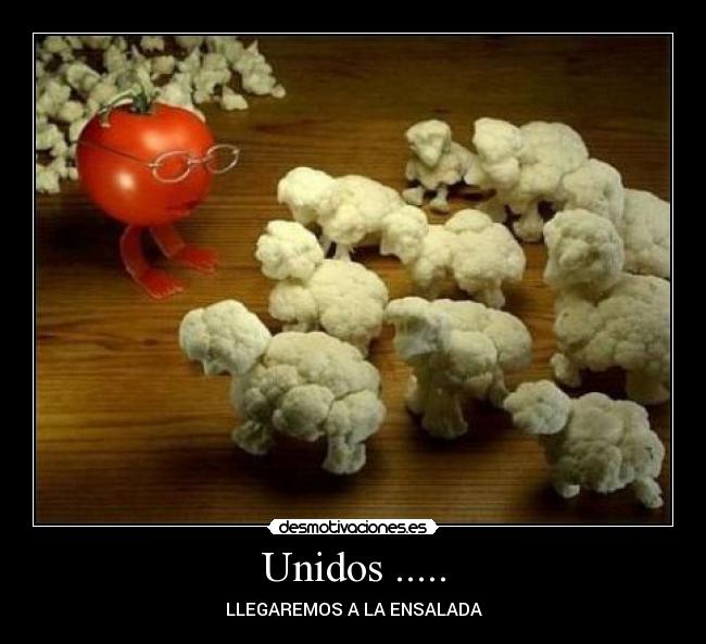 Unidos ..... - LLEGAREMOS A LA ENSALADA