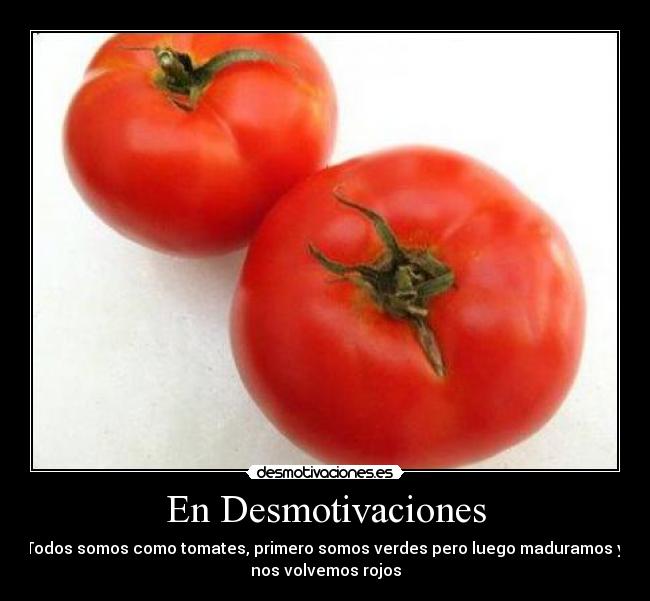 carteles desmotivaciones tomates walt-k madurar desmotivaciones