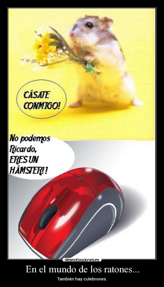 En el mundo de los ratones... -