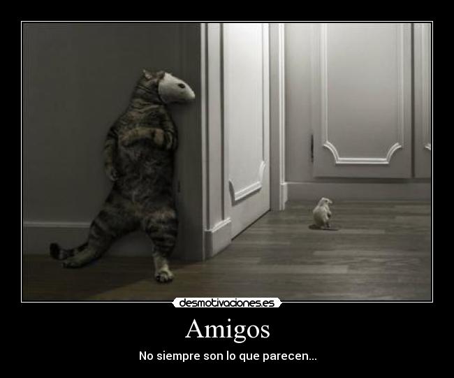 Amigos -