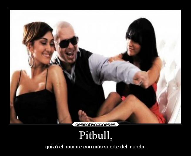 Pitbull, -