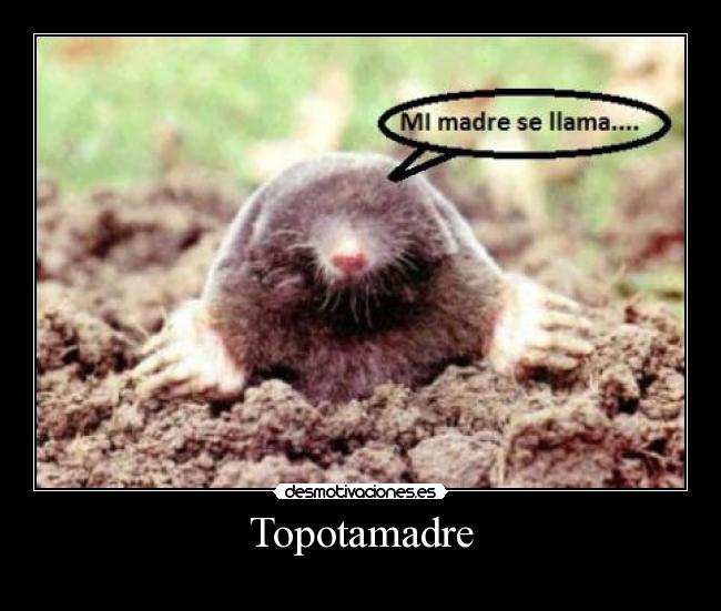 Topotamadre -