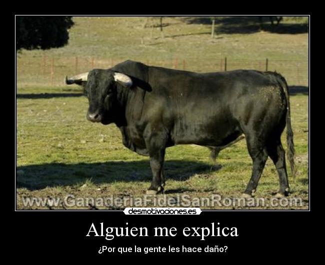 Alguien me explica -