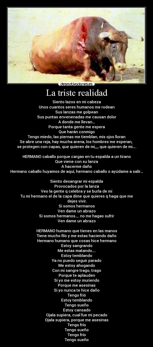 La triste realidad - Siento lazos en mi cabeza
Unos cuantos seres humanos me rodean
Sus lanzas me golpean
Sus puntas envenenadas me causan dolor
A donde me llevan…
Porque tanta gente me espera
Que harán conmigo
Tengo miedo, las piernas me tiemblan, mis ojos lloran
Se abre una reja, hay mucha arena, los hombres me esperan,
se protegen con capas, que quieren de mi,,,, que quieren de mi….
HERMANO caballo porque cargas en tu espalda a un tirano
Que viene con su lanza
A hacerme daño
Hermano caballo huyamos de aquí, hermano caballo o ayúdame a salir…
Siento desangrar mi espalda
Provocados por la lanza
Veo la gente q celebra y se burla de mi
Tu mi hermano el de la capa dime que quieres q haga que me
dejes vivir.
Si somos hermanos
Ven dame un abrazo
Si somos hermanos…. no me hagas sufrir
Ven dame un abrazo
HERMANO humano que tienes en las manos
Tiene mucho filo y me estas haciendo daño
Hermano humano que cosas hice hermano
Estoy sangrando
Me estas matando….
Estoy temblando
Ya no puedo seguir parado
Me estoy ahogando
Con mi sangre trago, trago
Porque te aplauden
Si yo me estoy muriendo
Porque me asesinas
Si yo nunca te hice daño
Tengo frió
Estoy temblando
Tengo sueño
Estoy cansado
Ojala supiera, cual fue mi pecado
Ojala supiera, porque me asesinas
Tengo frío
Tengo sueño
Tengo frío
Tengo sueño