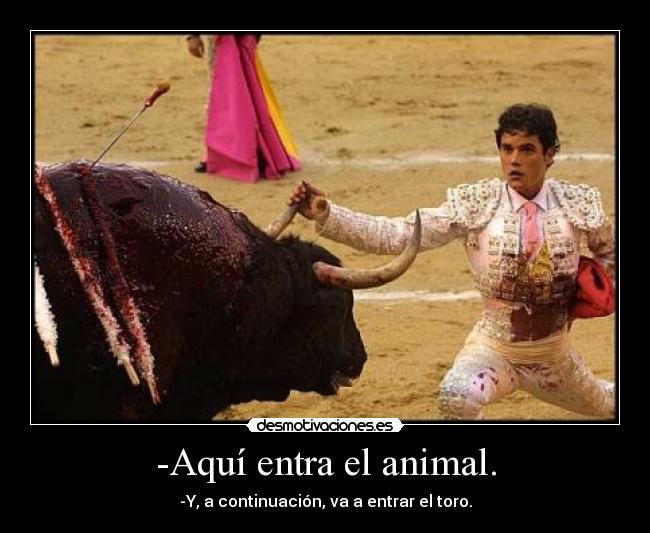 -Aquí entra el animal. - -Y, a continuación, va a entrar el toro.