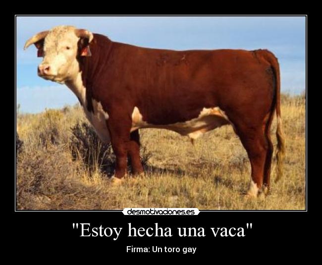 Estoy hecha una vaca -