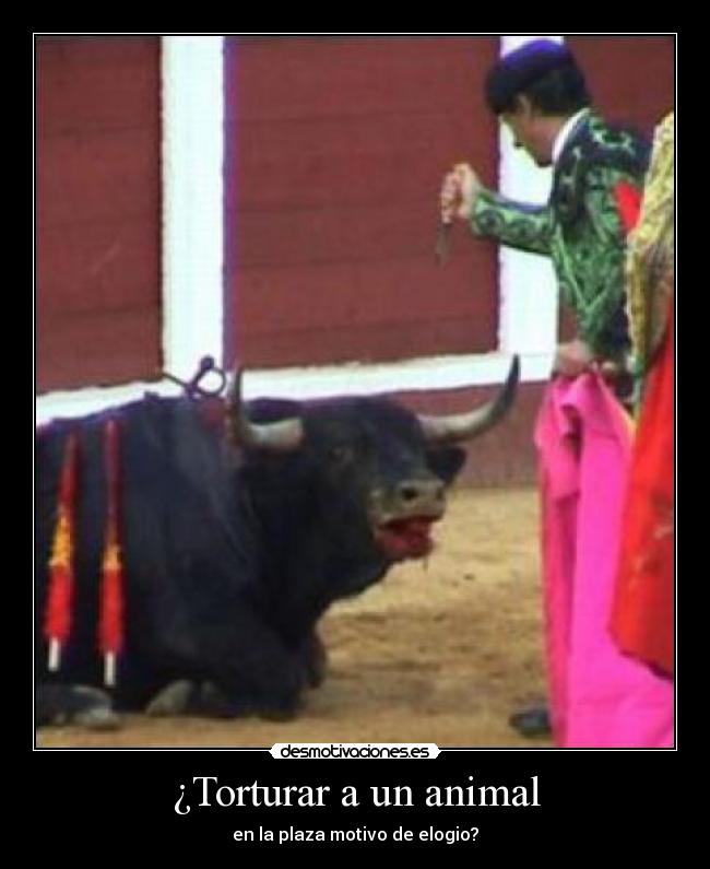 ¿Torturar a un animal - 