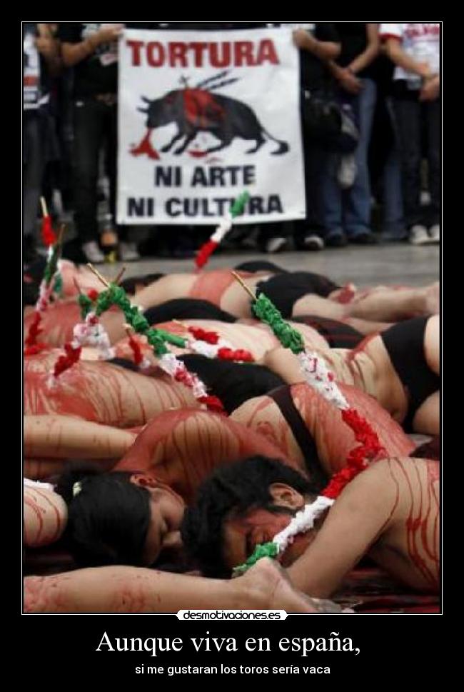 carteles espana espana toros antitaurinos vaca desmotivaciones