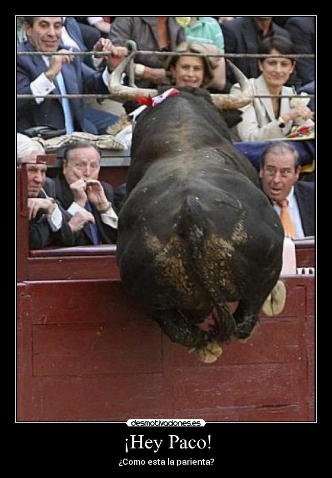 ¡Hey Paco! - 