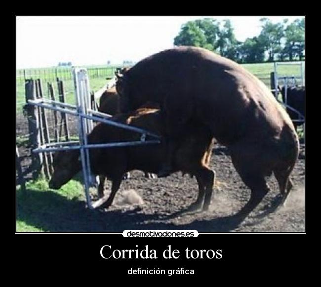 Corrida de toros -