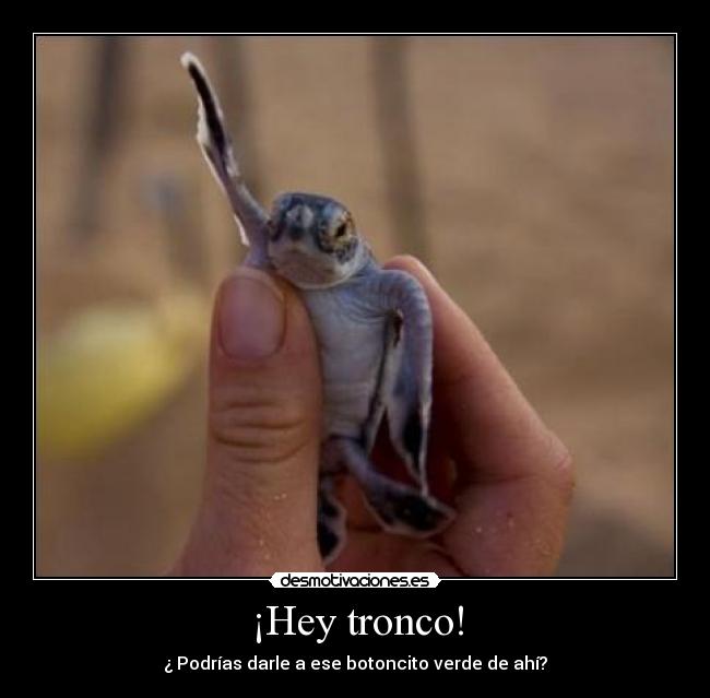 ¡Hey tronco! - 