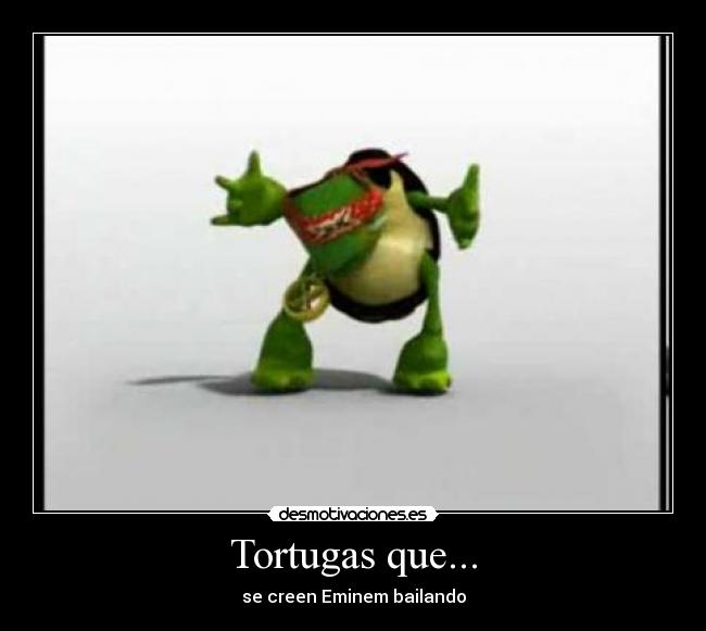 Tortugas que... - 