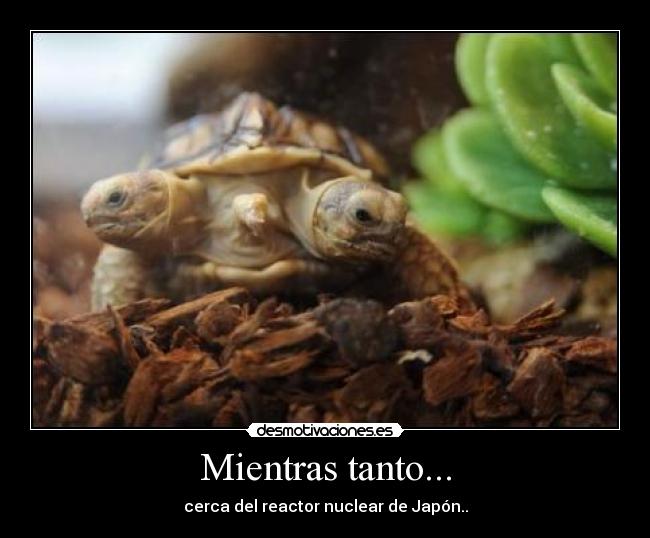 Mientras tanto... - cerca del reactor nuclear de Japón..