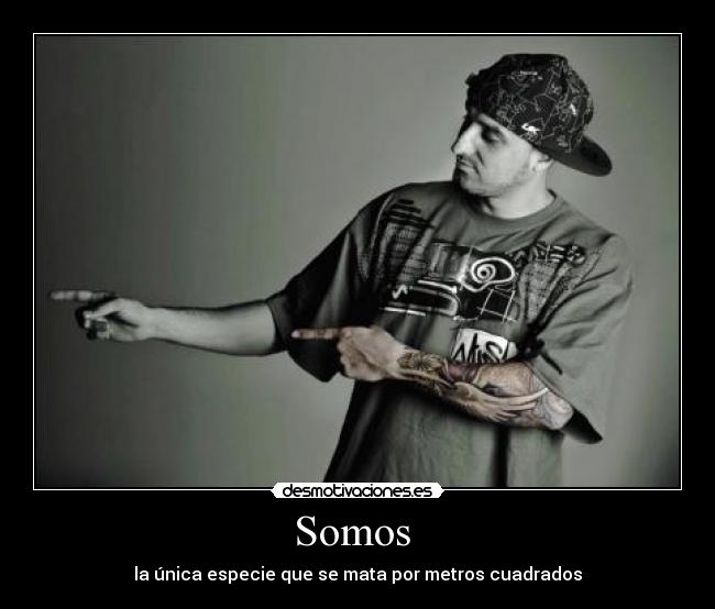Somos - la única especie que se mata por metros cuadrados