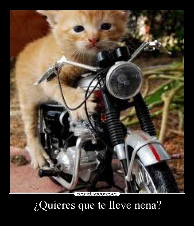 ¿Quieres que te lleve nena? - 
