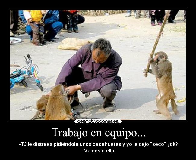Trabajo en equipo... - 