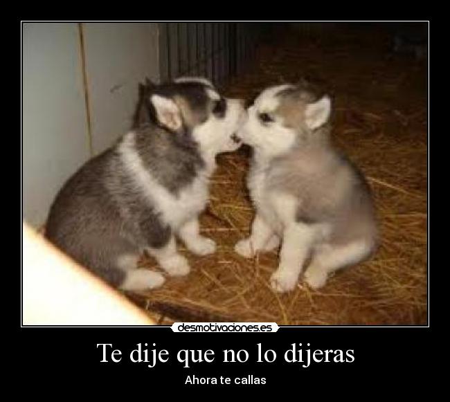 Te dije que no lo dijeras - Ahora te callas