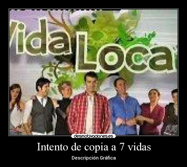 Intento de copia a 7 vidas - Descripción Gráfica