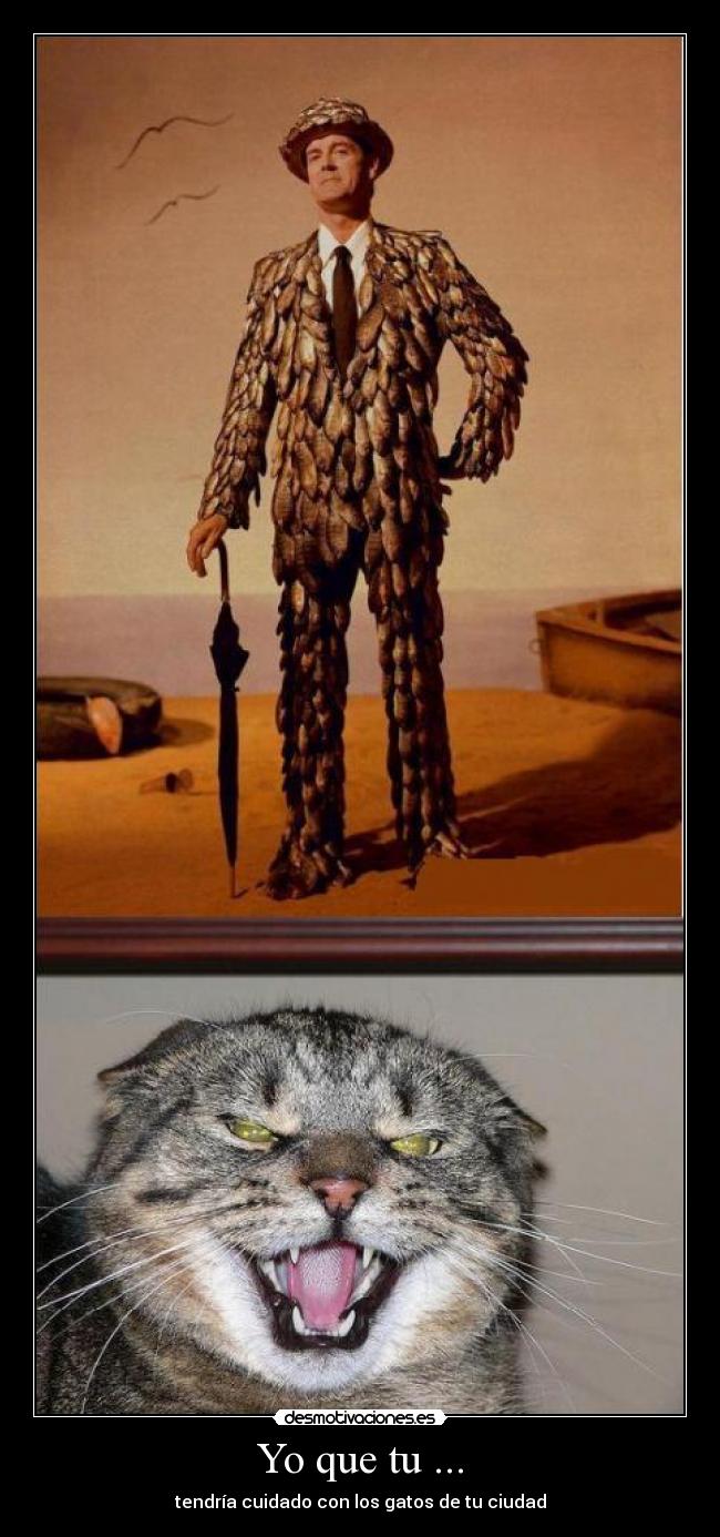 Yo que tu ... -