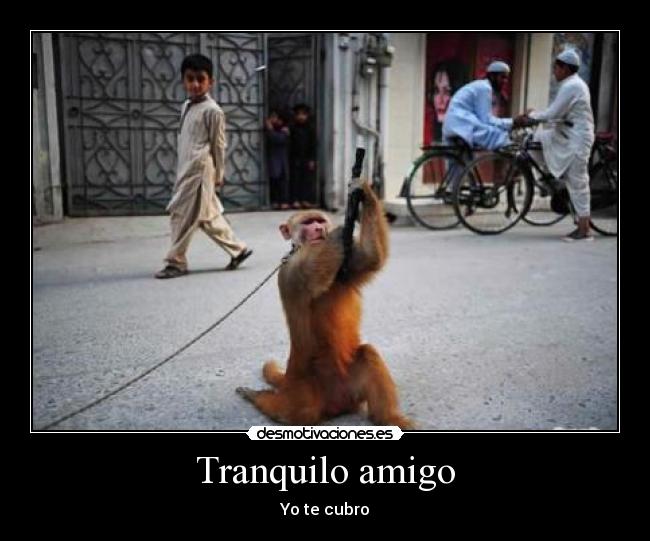 Tranquilo amigo - 