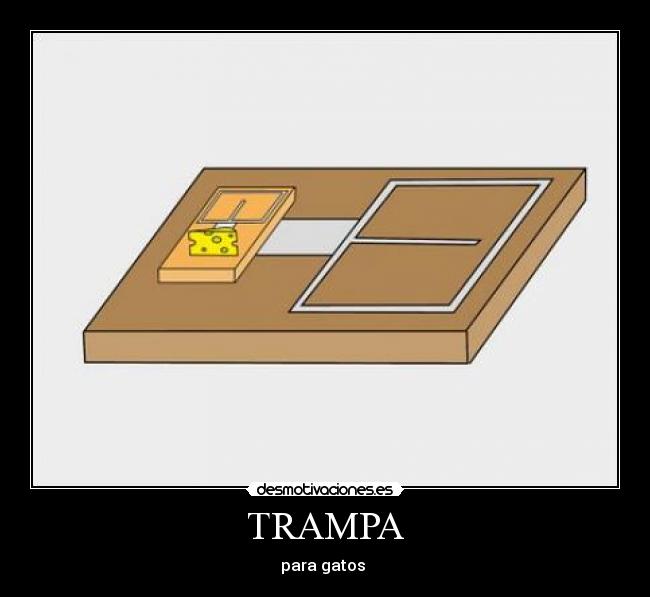 carteles trampa para gatos desmotivaciones
