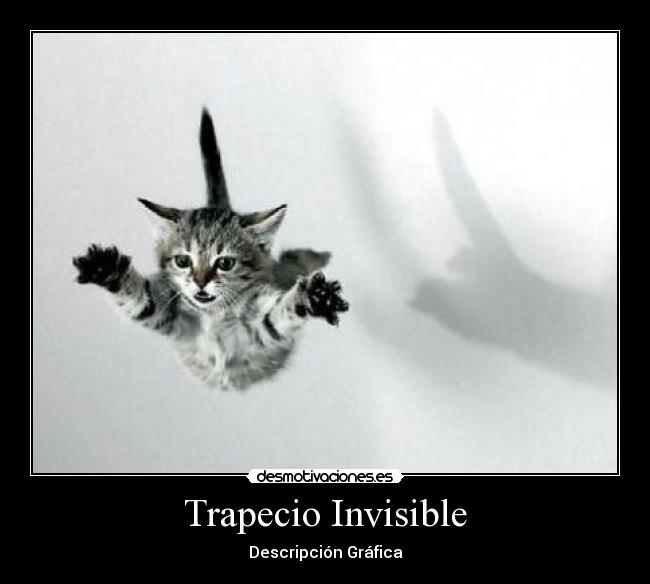 Trapecio Invisible - Descripción Gráfica