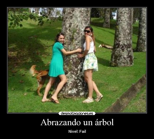 carteles tree hugging fail desmotivaciones