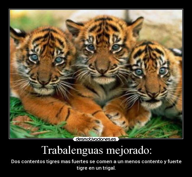 Trabalenguas mejorado: - Dos contentos tigres mas fuertes se comen a un menos contento y fuerte
tigre en un trigal.