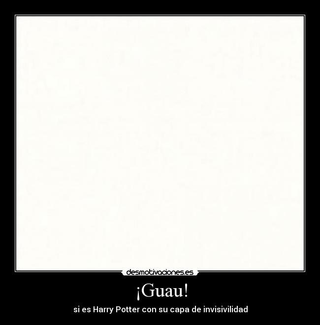 ¡Guau! - si es Harry Potter con su capa de invisivilidad