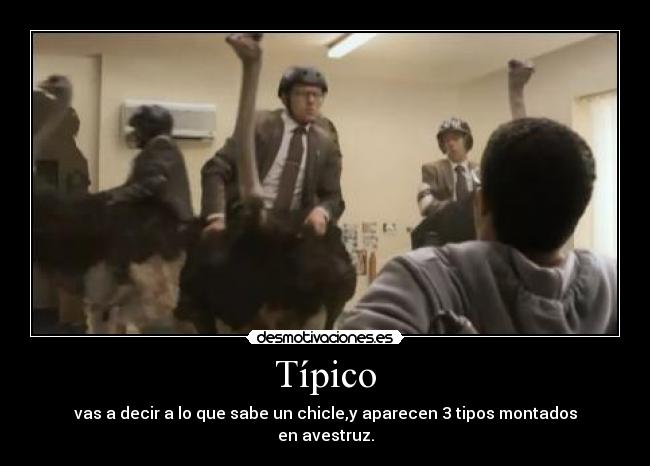 Típico - vas a decir a lo que sabe un chicle,y aparecen 3 tipos montados
en avestruz.