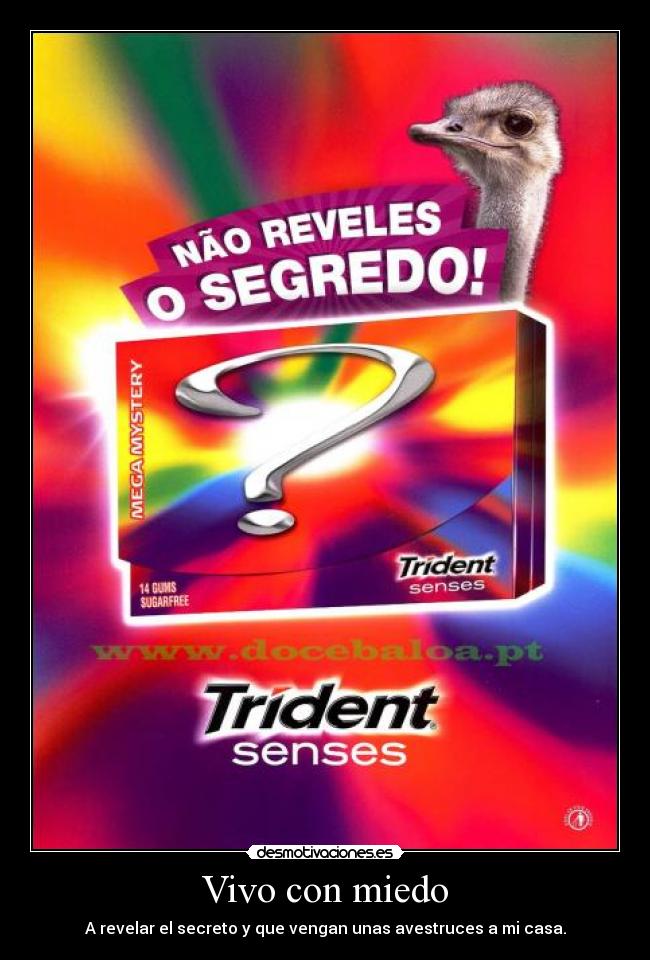 Vivo con miedo - A revelar el secreto y que vengan unas avestruces a mi casa.