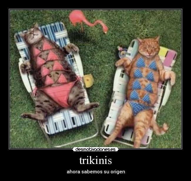 trikinis - ahora sabemos su origen