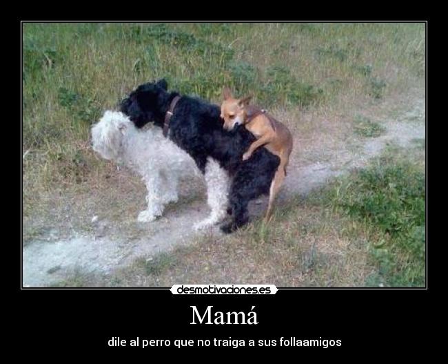 carteles walt_k jotajotamv custodioso luc205 solofumohierba darkike1995 sergiosoler12 elgatonovolador maca98 desmotivaciones