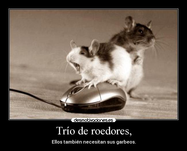 Trío de roedores, -