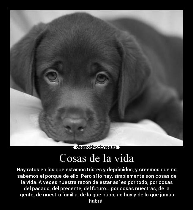 Cosas de la vida - 