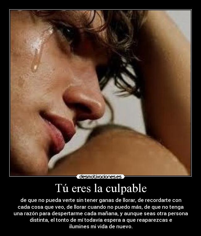 Tú eres la culpable - de que no pueda verte sin tener ganas de llorar, de recordarte con
cada cosa que veo, de llorar cuando no puedo más, de que no tenga
una razón para despertarme cada mañana, y aunque seas otra persona
distinta, el tonto de mí todavía espera a que reaparezcas e
ilumines mi vida de nuevo.