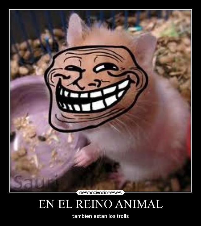 EN EL REINO ANIMAL - tambien estan los trolls