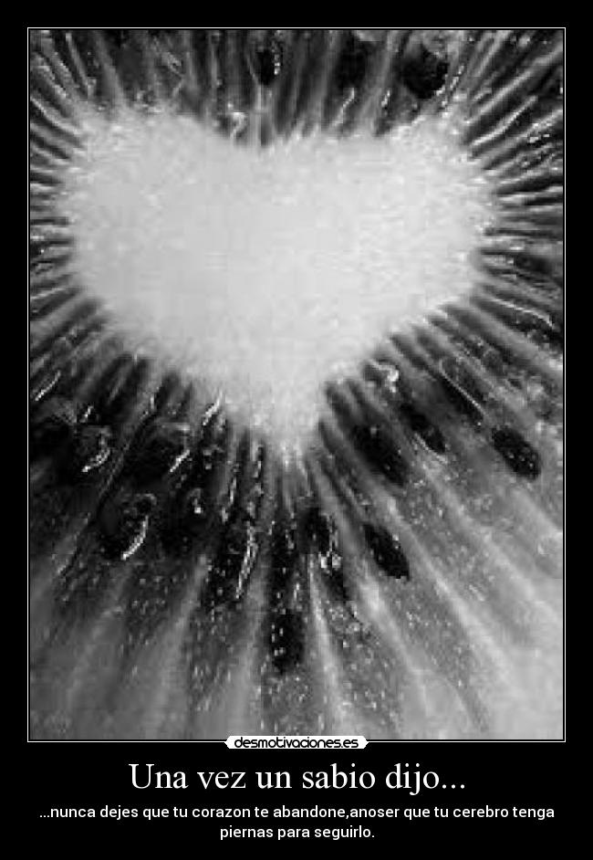 Una vez un sabio dijo... -