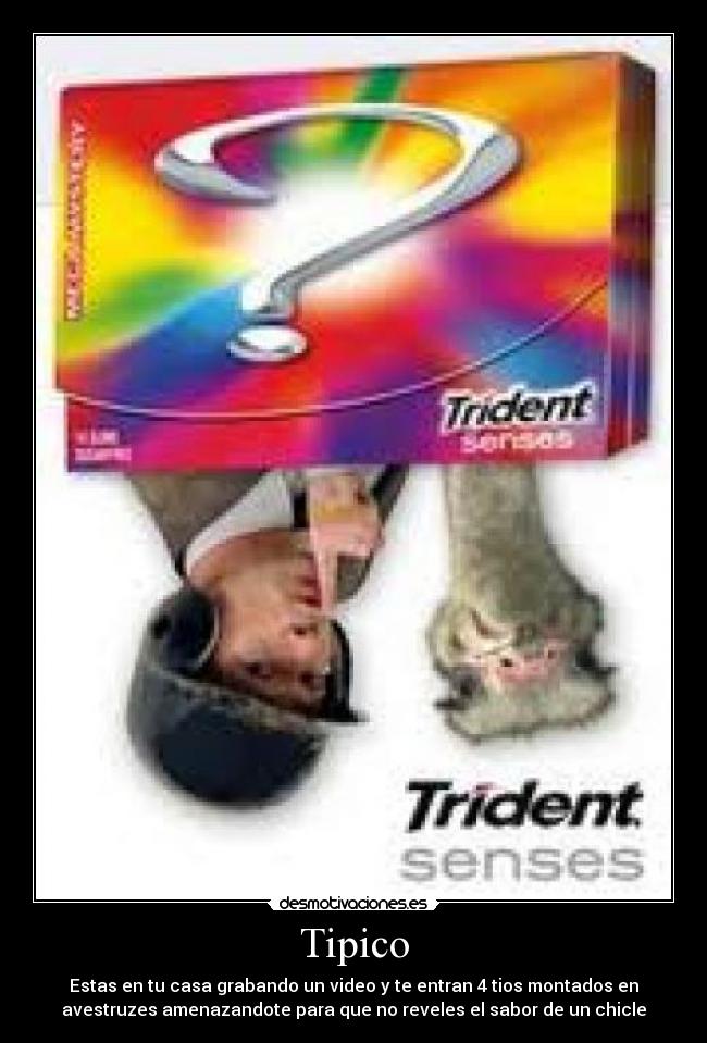 Tipico - Estas en tu casa grabando un video y te entran 4 tios montados en
avestruzes amenazandote para que no reveles el sabor de un chicle
