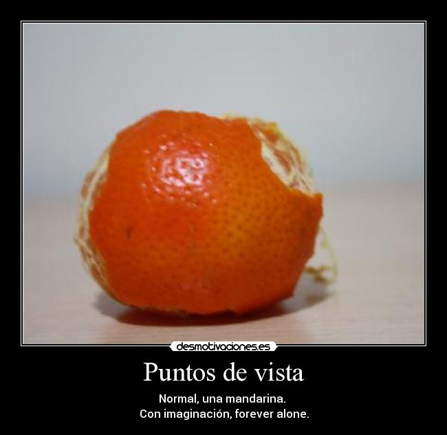 Puntos de vista -