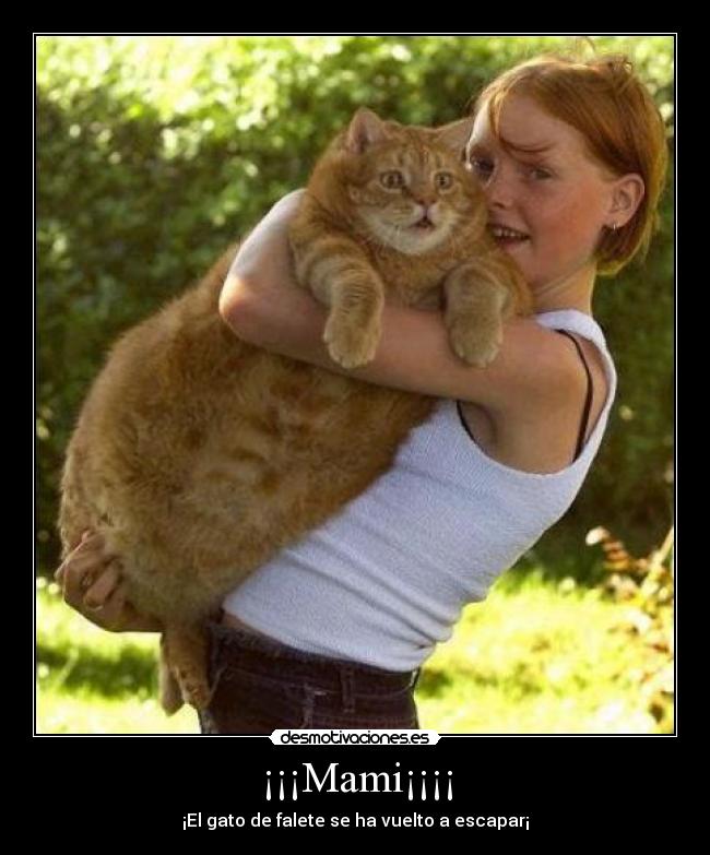 ¡¡¡Mami¡¡¡¡ -