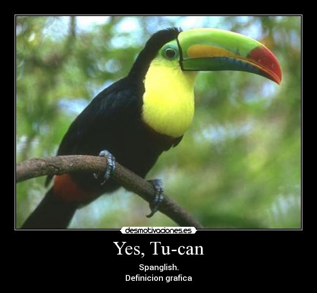 carteles spanglish desmotivaciones