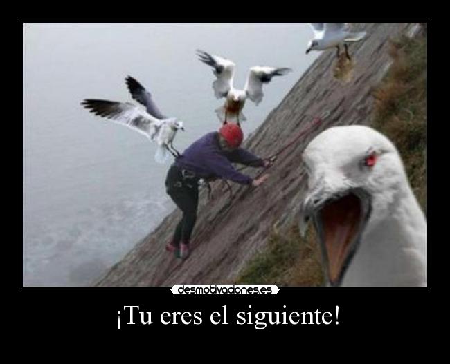 ¡Tu eres el siguiente! - 