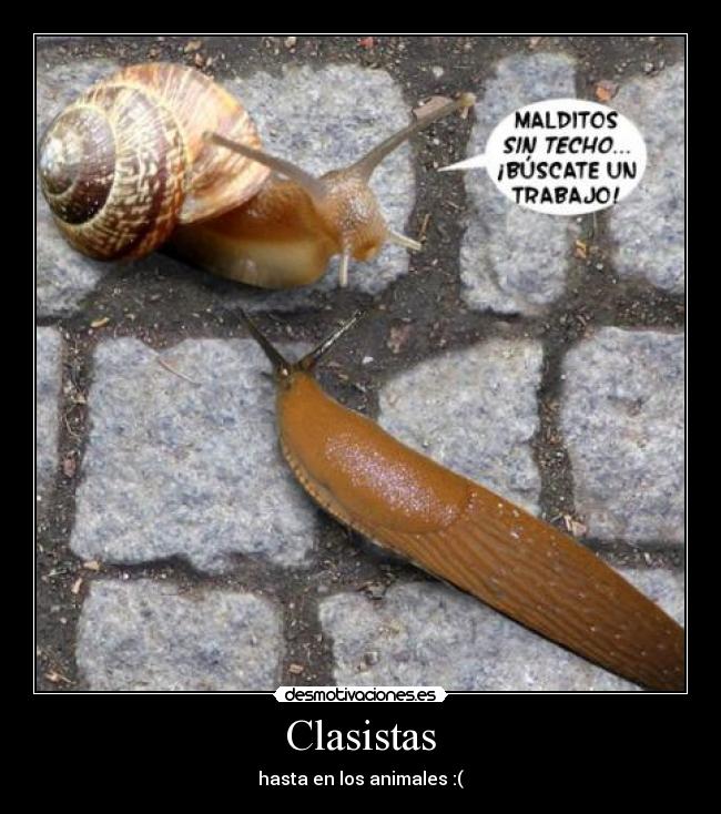 Clasistas - 