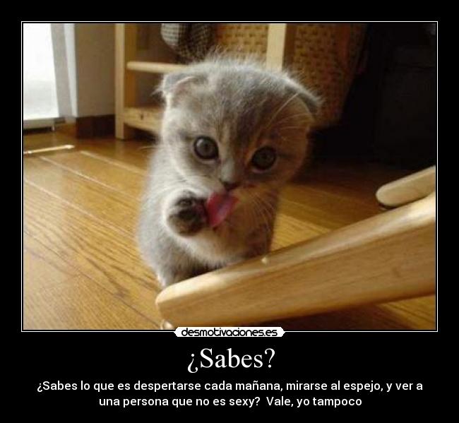 ¿Sabes? - ¿Sabes lo que es despertarse cada mañana, mirarse al espejo, y ver a
una persona que no es sexy? Vale, yo tampoco